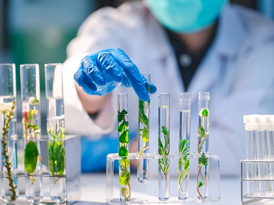 Agricultural biotechnology