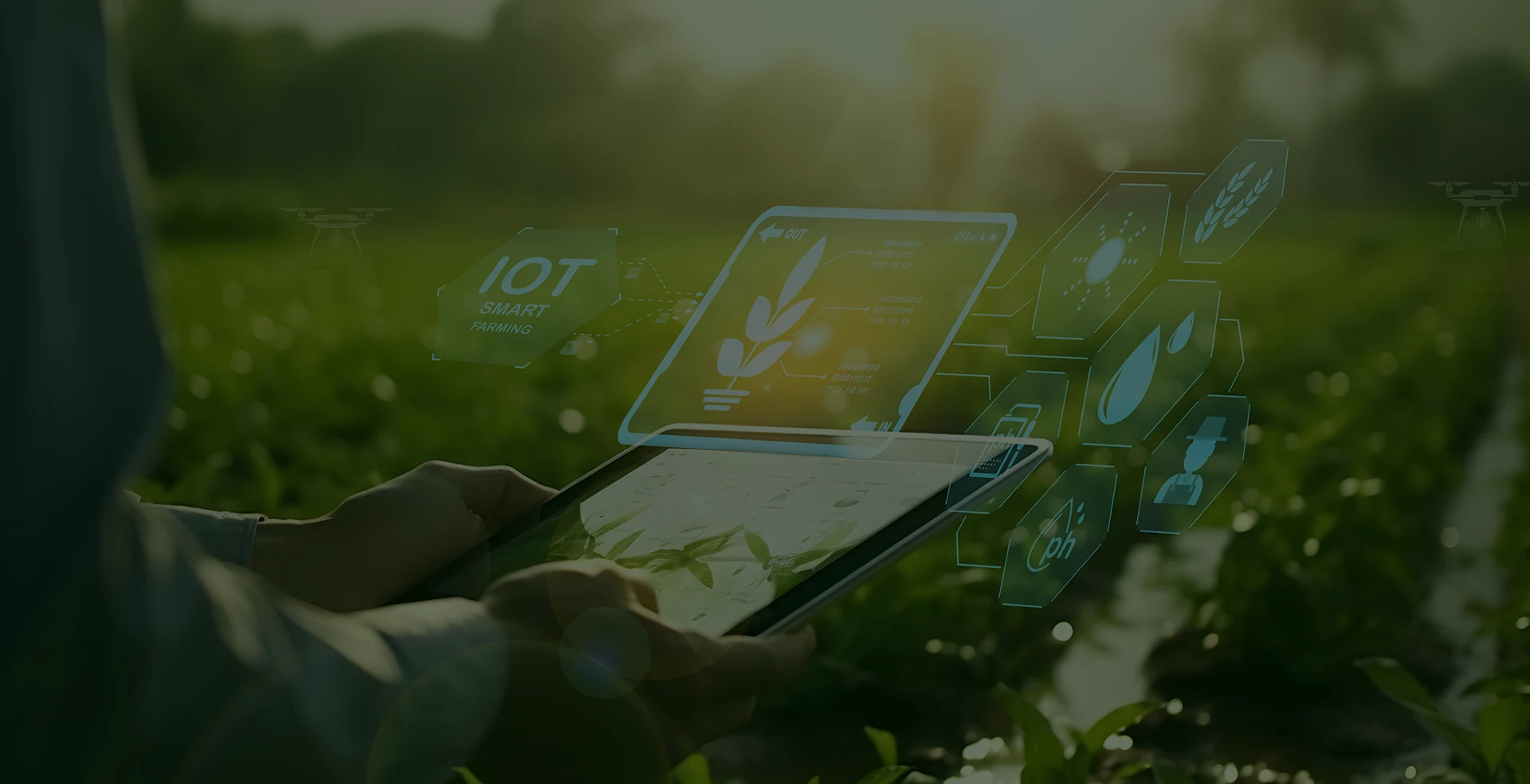 New frontiers in industry and agriculture