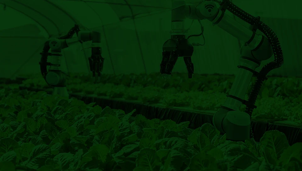 Processing and innovation in the agri-food sector
