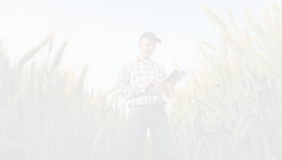 Quality, safety, and sustainability in the agri-food sector
